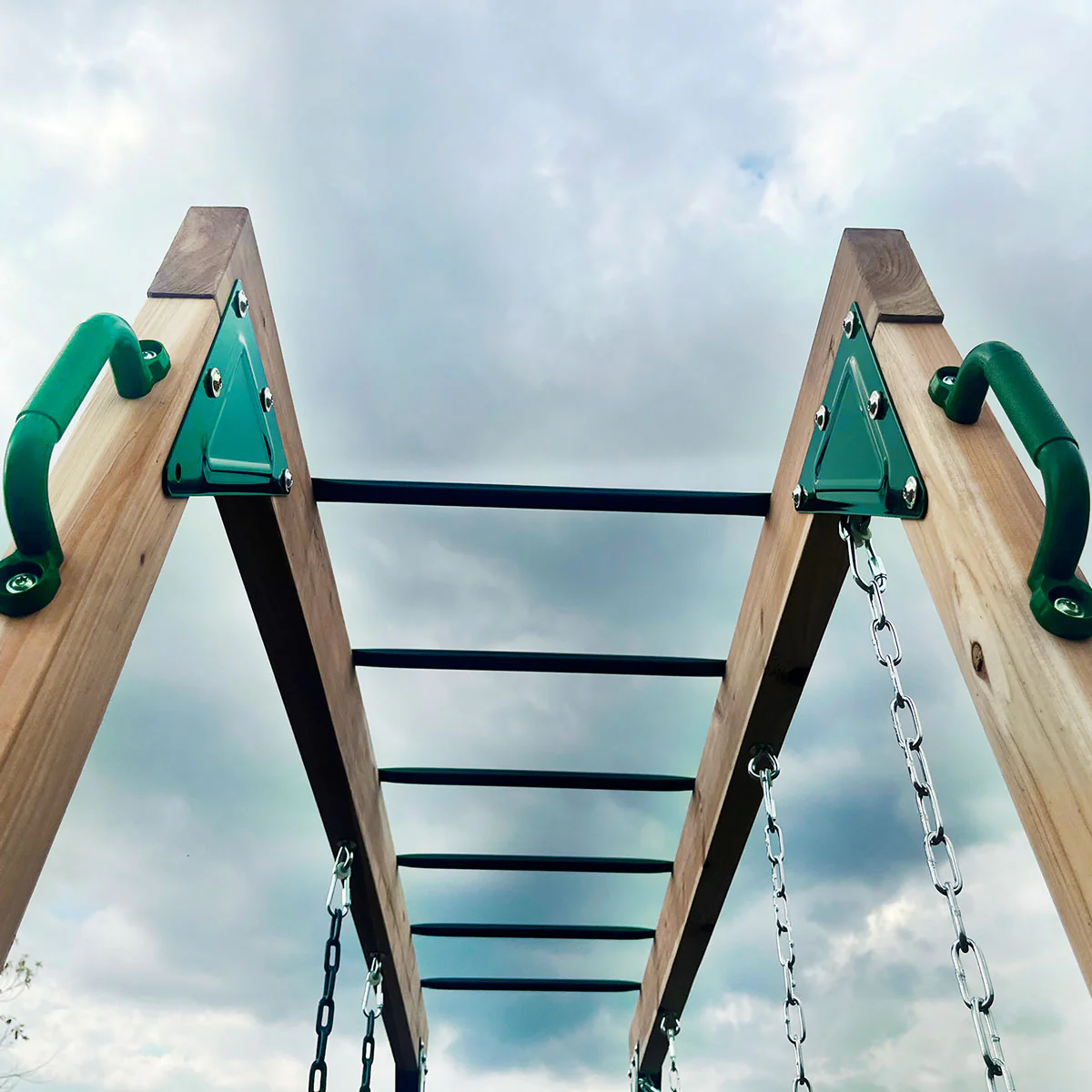 Daintree 2-in-1 Monkey Bars & Swing Set - Image 9
