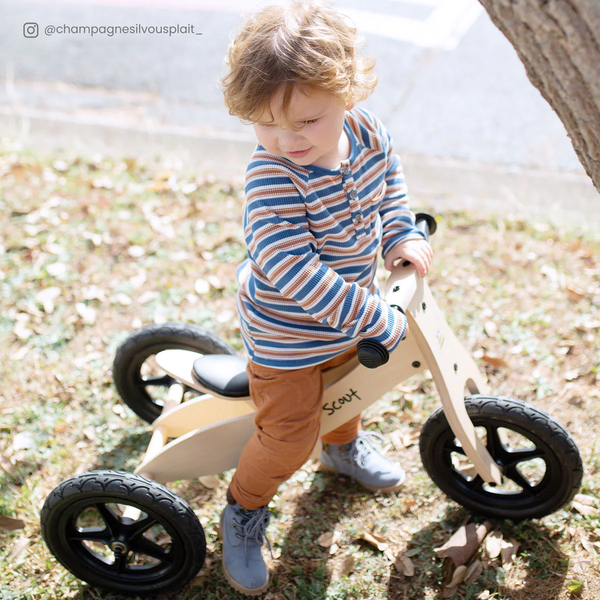 Scout 2-in-1 Balance Bike & Trike - Image 3