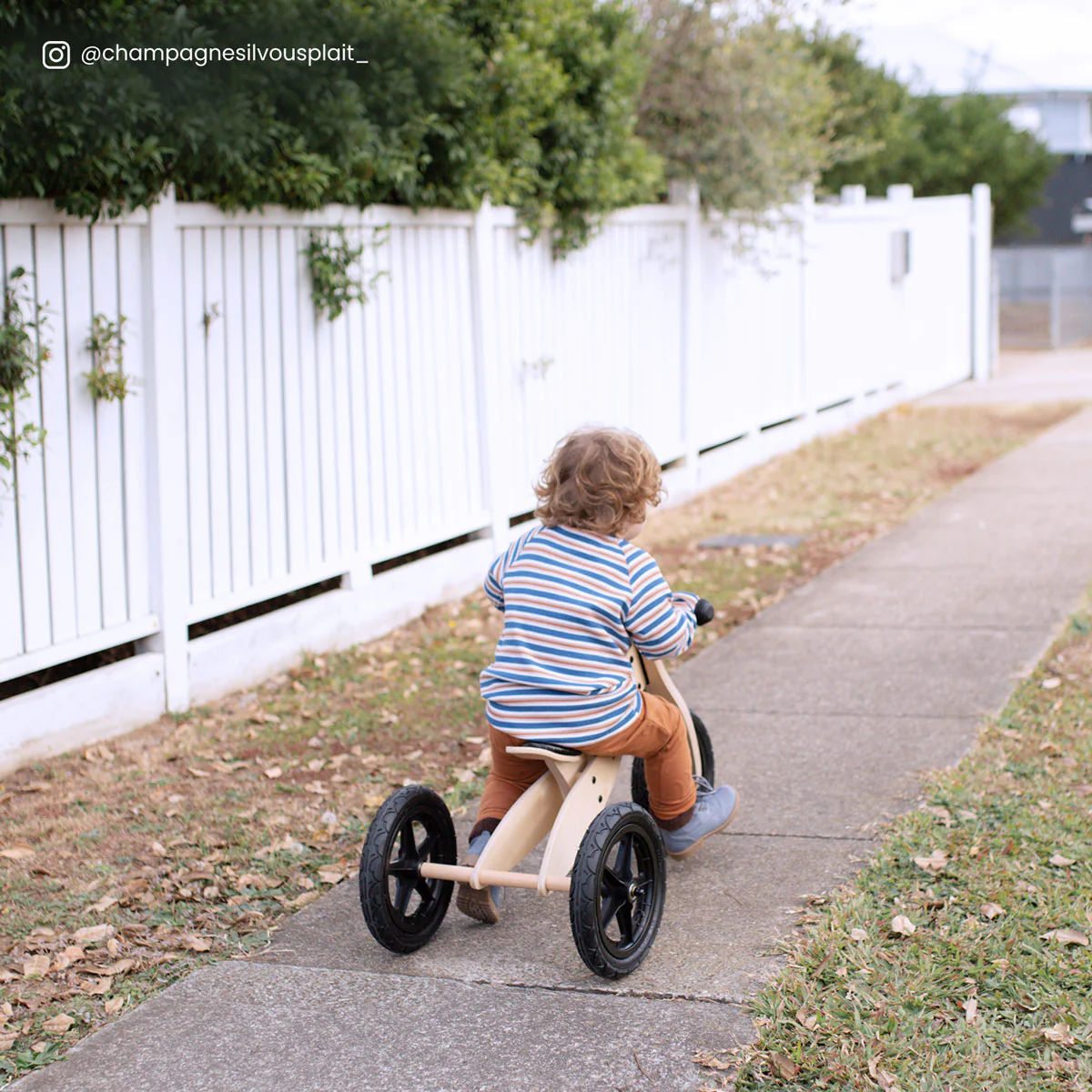 Scout 2-in-1 Balance Bike & Trike - Image 5